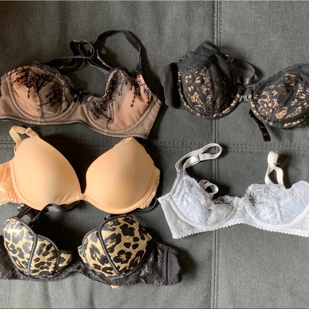 5 Dita Von Teese Bras